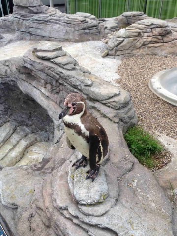 Ozeaneum Stralsund